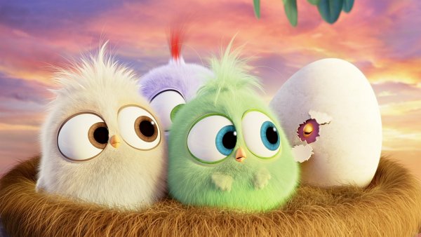 Angry Birds мультфильм