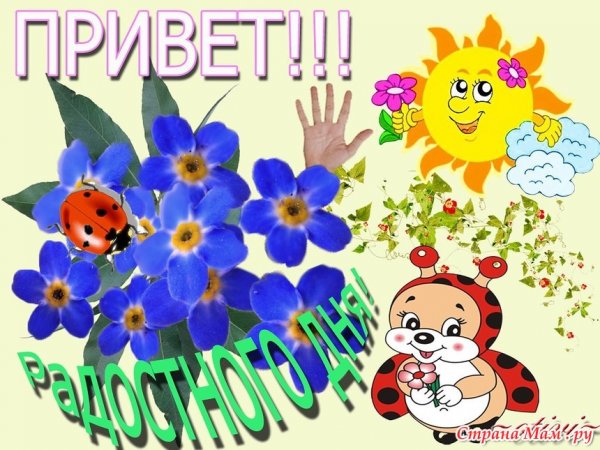 Всем привет картинки
