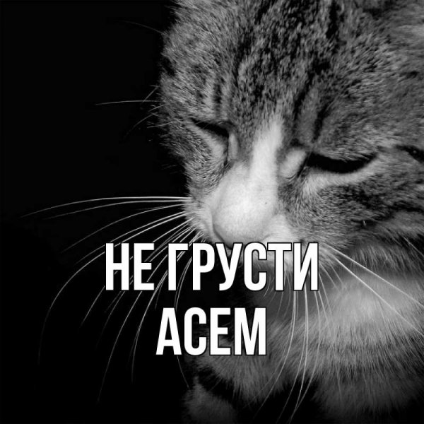 Соня имя