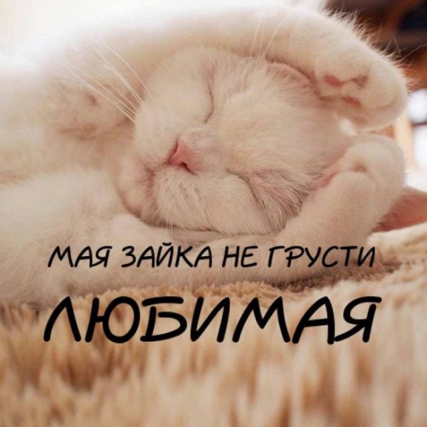 Не грусти