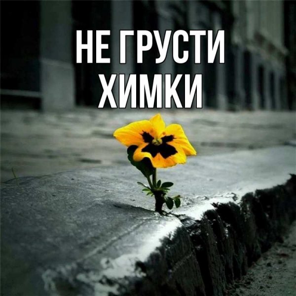 Картиночки не грусти