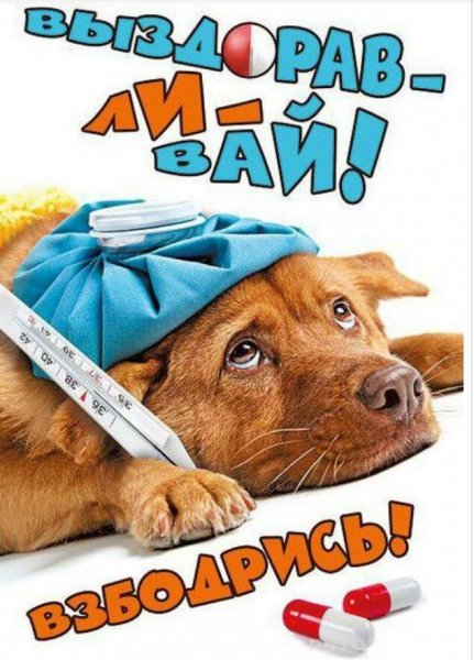 Скорого выздоровления