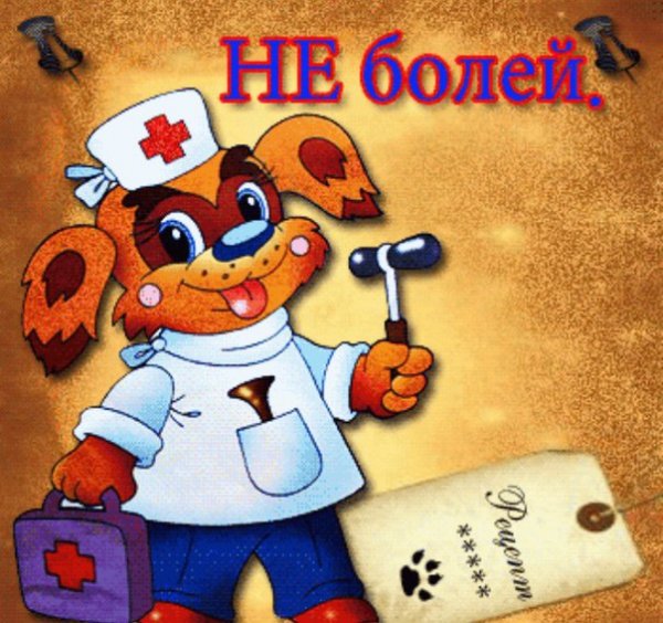Не болей выздоравливай