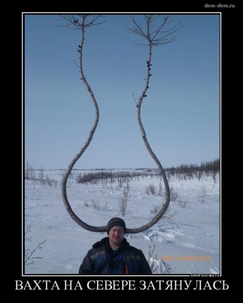 Вахта приколы