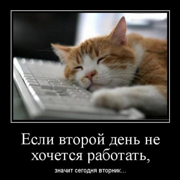 Шутки про вторник