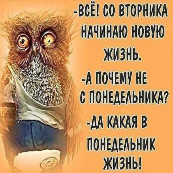 Вторник картинки прикольные