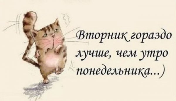 Доброе утро вторника