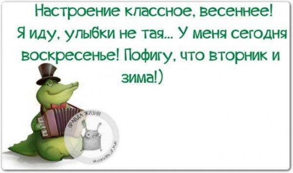 Шутки про вторник