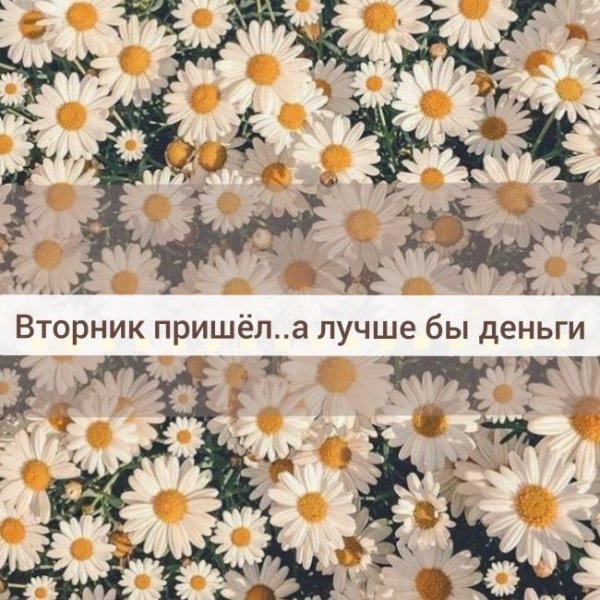 Цитаты про вторник смешные