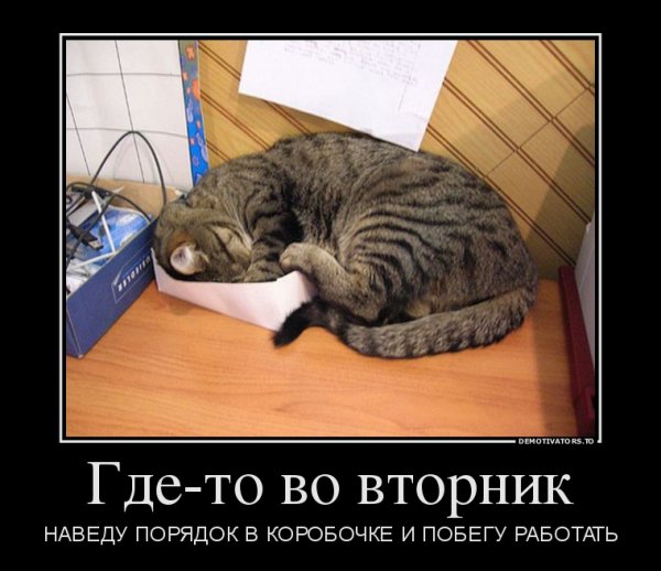 Вторник прикол
