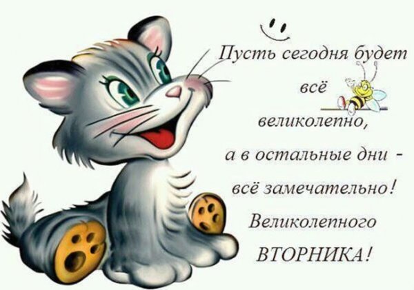 Цитаты про вторник