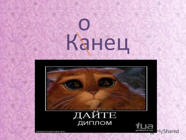 Спасибо за внимание смешные картинки