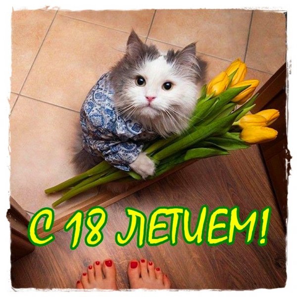 С днём рождения 18 лет девушке