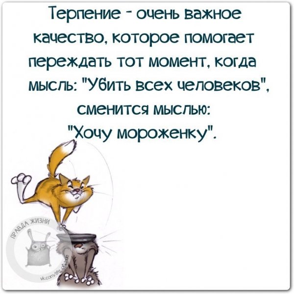Высказывания о жизни с юмором