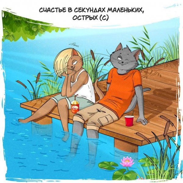 Житейский юмор в картинках