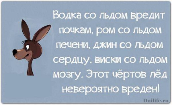 Шутки про жизнь