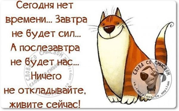 Цитаты о жизни с юмором