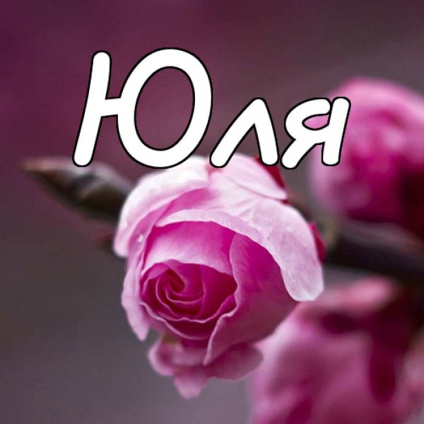 Надпись имени Юлия