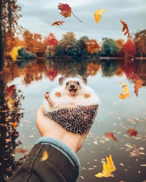 Осенний позитив