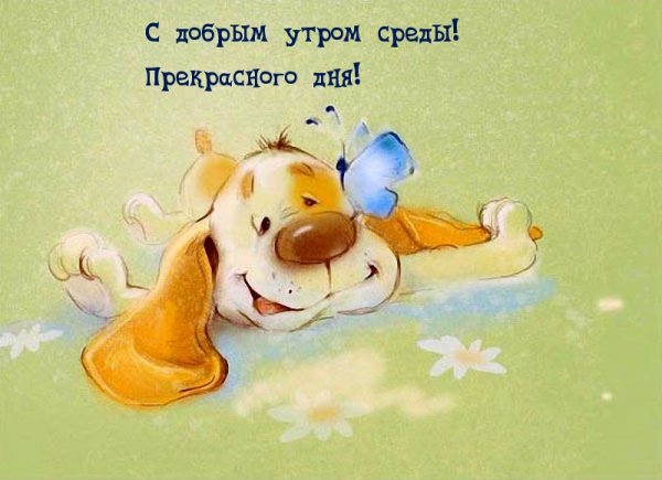 Милые иллюстрации