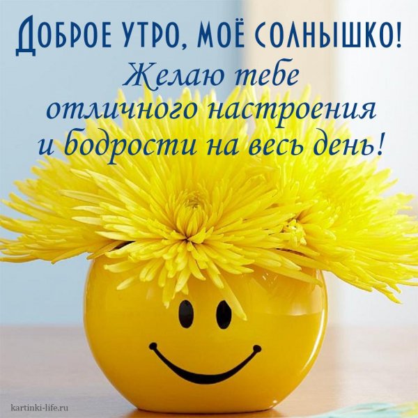 Доброе утро солнышко