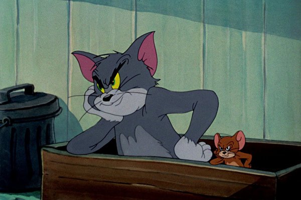 Кот том и Джерри
