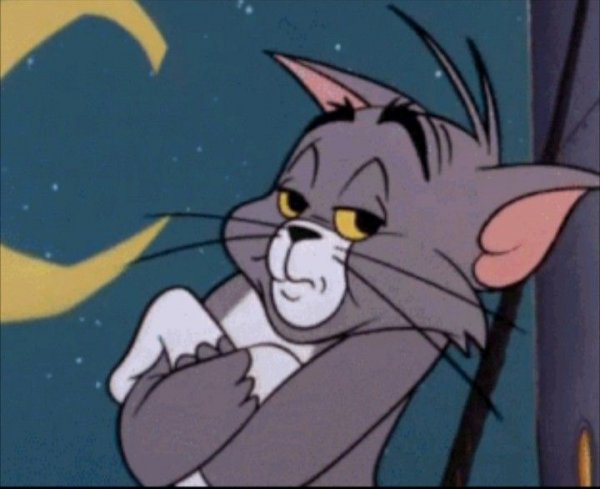 Кот том