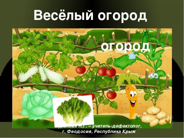 Веселые овощи