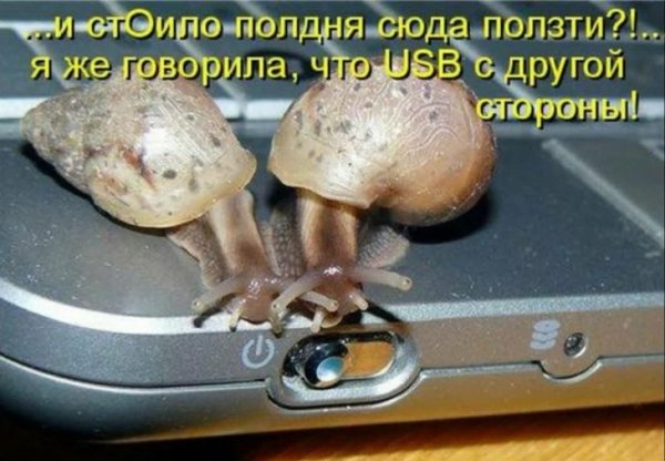 Приколы с надписями до слёз