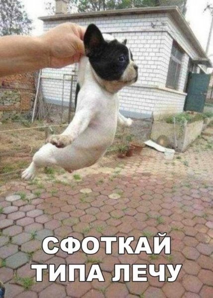 Картинки смешные до слез