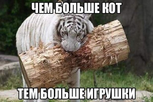 Угарные картинки до слез с надписями