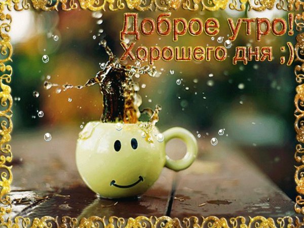 Доброе уто и хорогего Лея