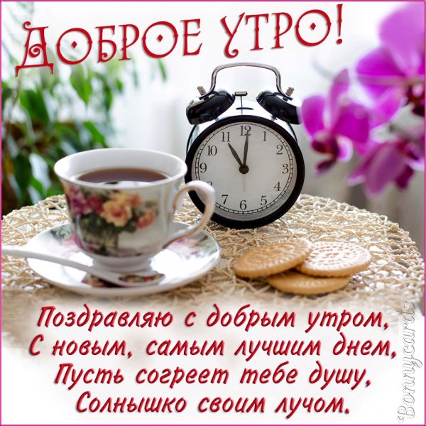 Пикольныеоткрытки с добрым утром