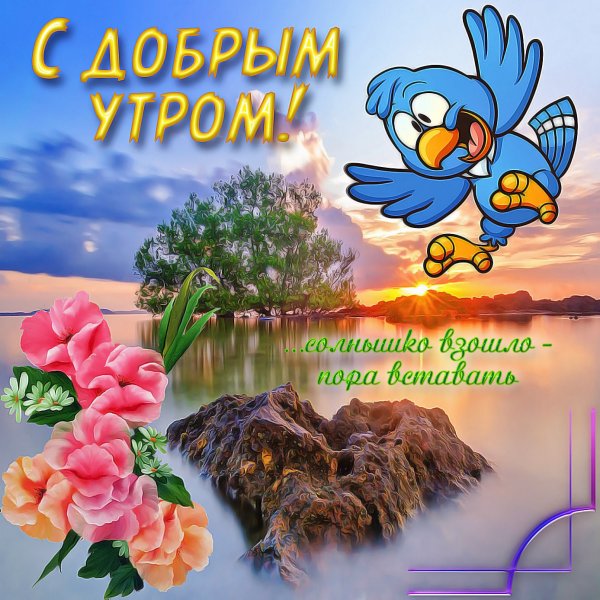 Прикольные открытки с добрым утром прикольные