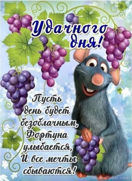 Пожелания с добрым утром прикольные
