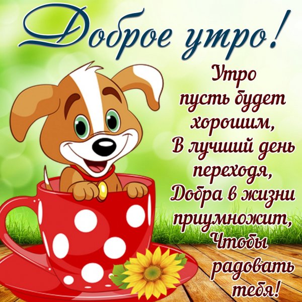 Открытки с добрымиутром