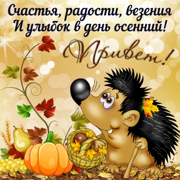 Доброе утро отличного дня