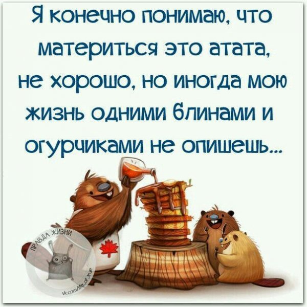 Смешные цитаты