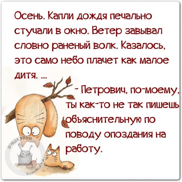 Смешные цитаты
