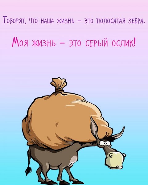 Смешные цитаты про жизнь