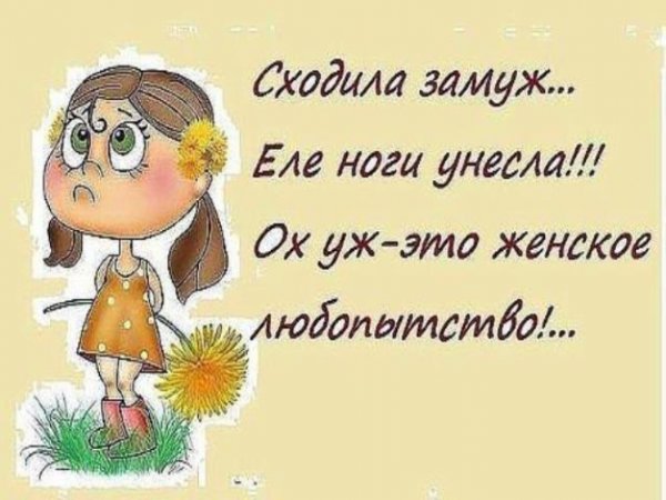 Статусы юмор