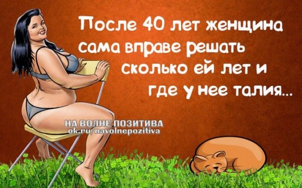 Смешные фразы про мужа и жену