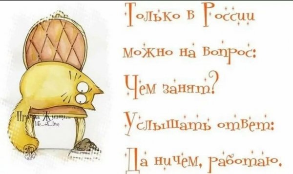 Статусы юмор