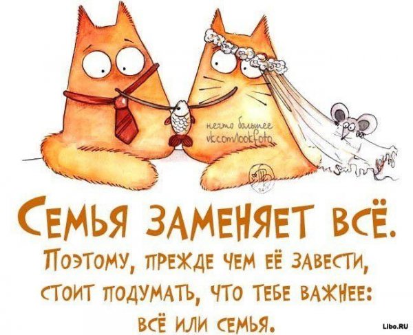 Смешные цитаты со смыслом