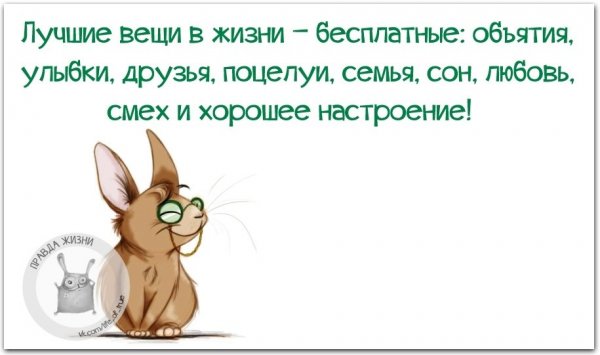 Приколы в картинках про жизнь