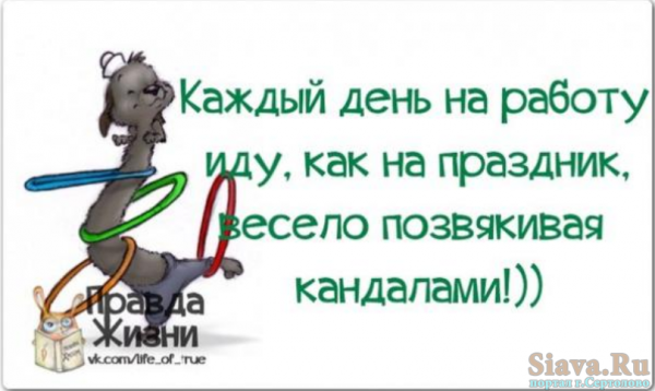 Смешные фразы про праздники