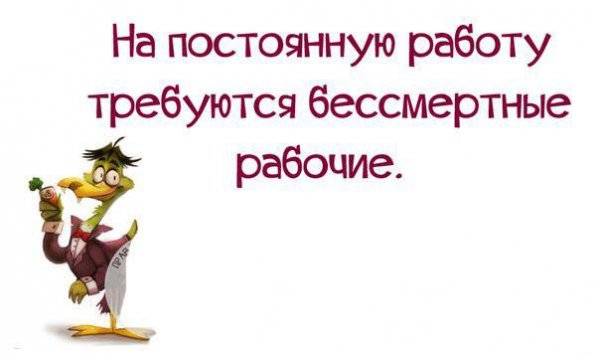 На постоянную работу требуются