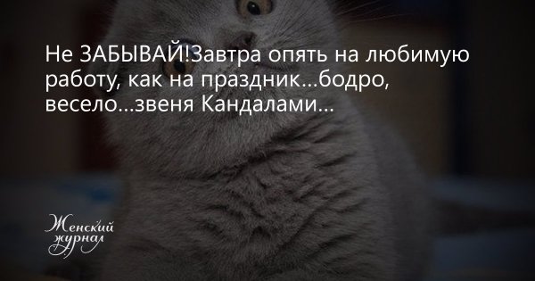 Завтра на работу прикольные