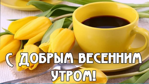 Доброе утро Весна