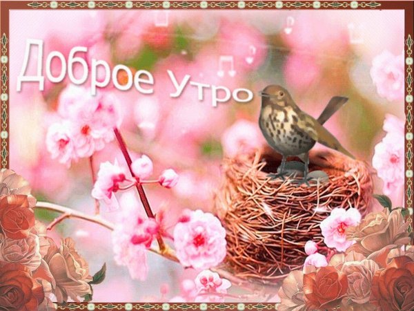 Доброе Весеннее утро